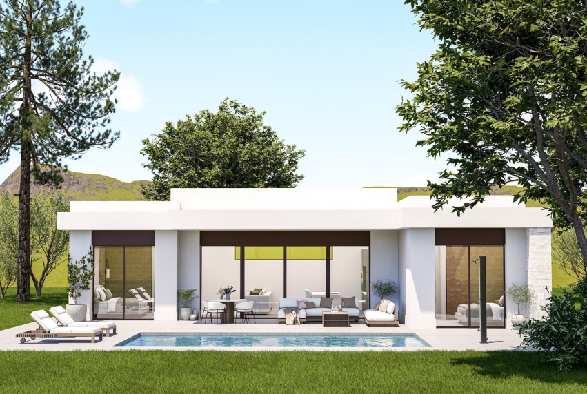 Nouvelle construction - Villa - Pinoso - Lel