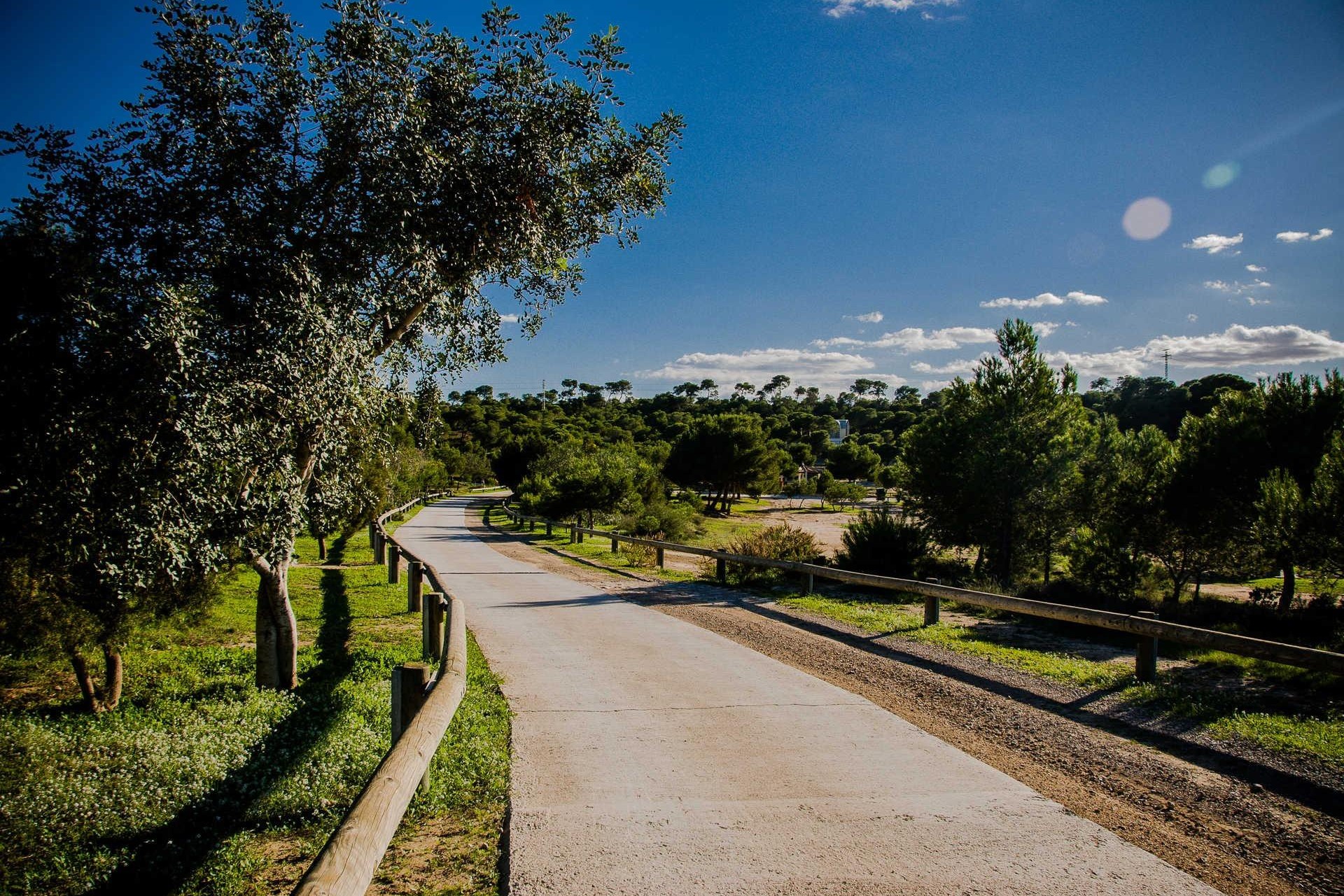 Nouvelle construction - Villa - Rojales - Doña Pepa