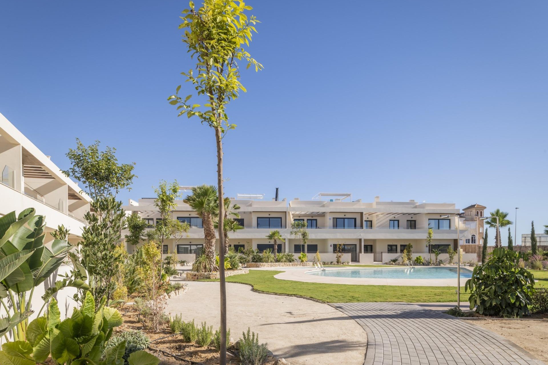 Obra nueva - Apartment - Torrevieja - Villa Amalia