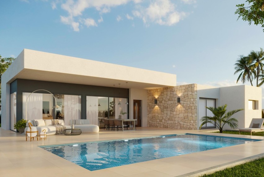 Obra nueva - Villa - Aspe - Poligono 19
