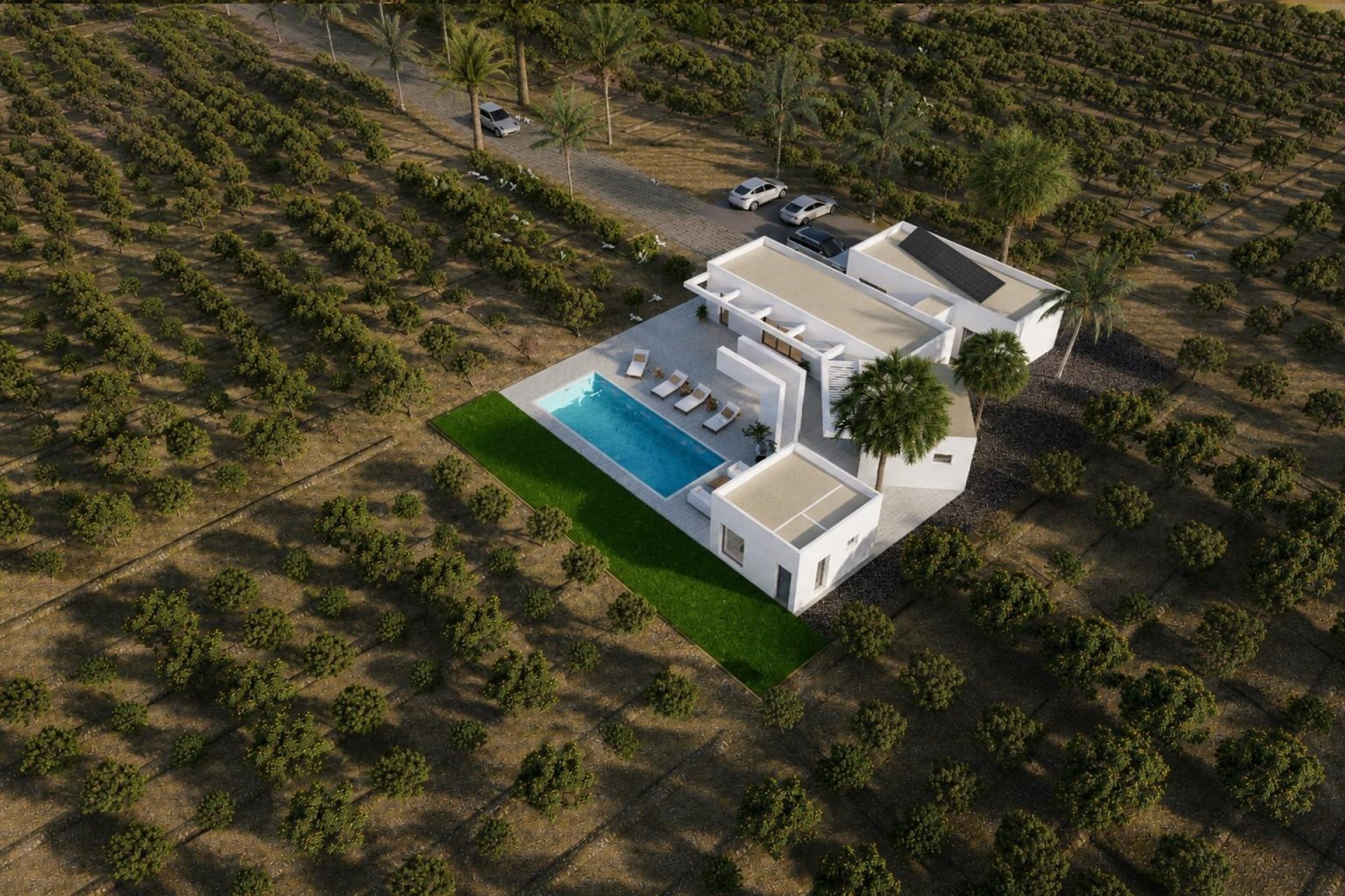 Obra nueva - Villa - Benejúzar - alta