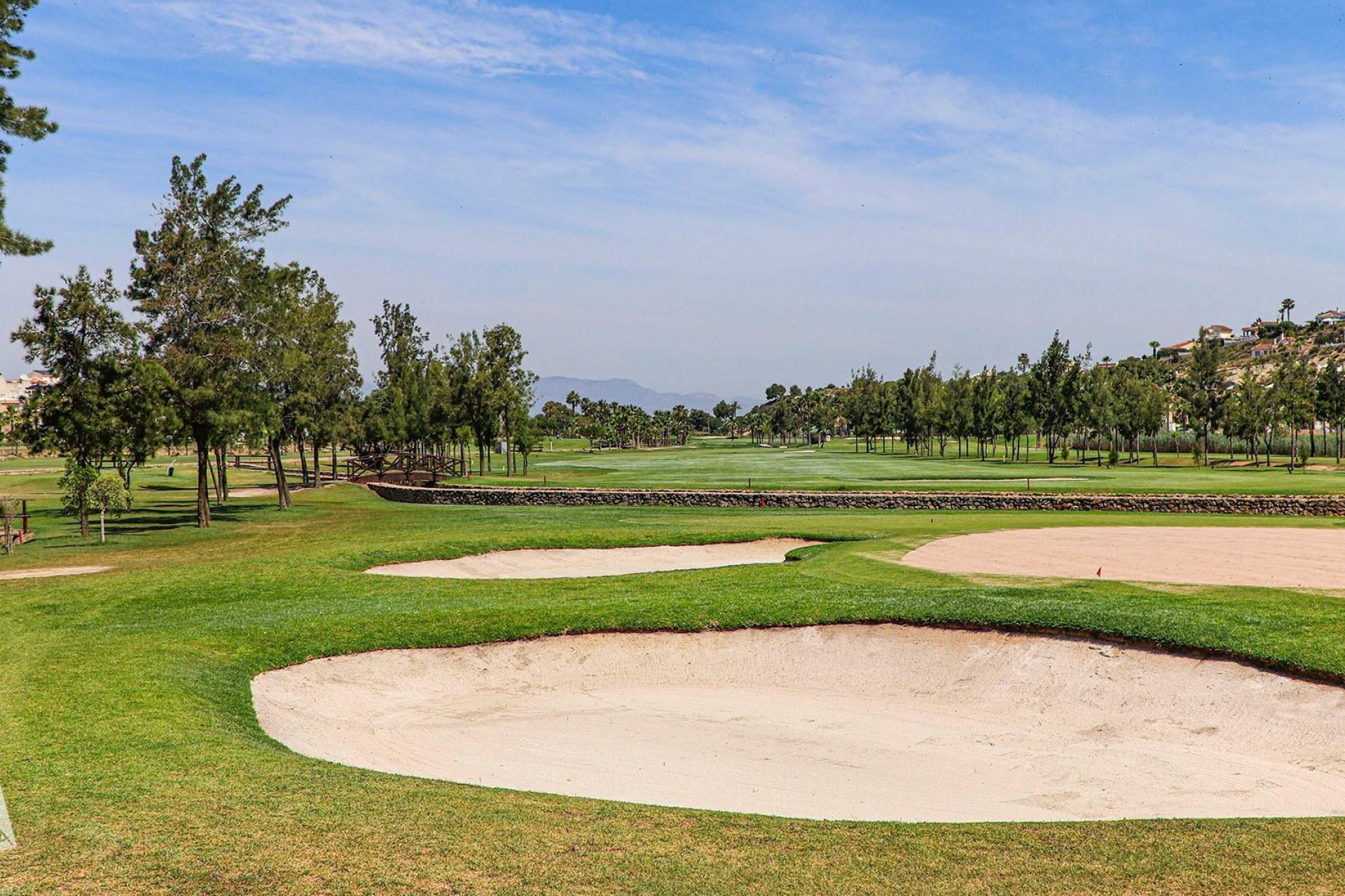 Obra nueva - Villa - Rojales - Ciudad Quesada