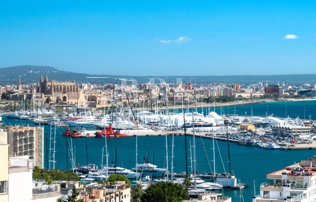 Palace - Reventa - Palma - El Terreno