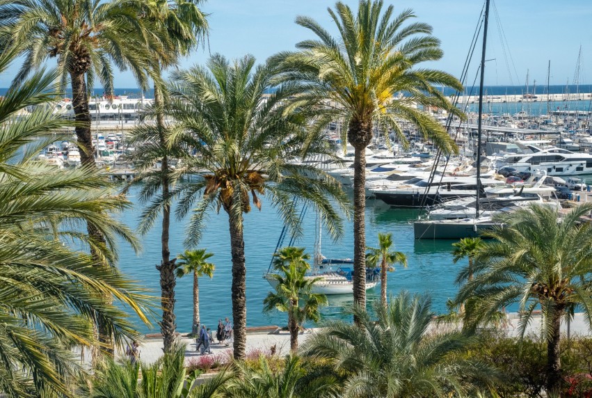 Resale - Apartment - Alicante - - Centro  -