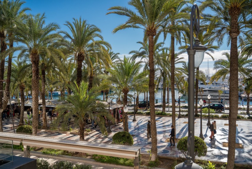 Resale - Apartment - Alicante - - Centro  -