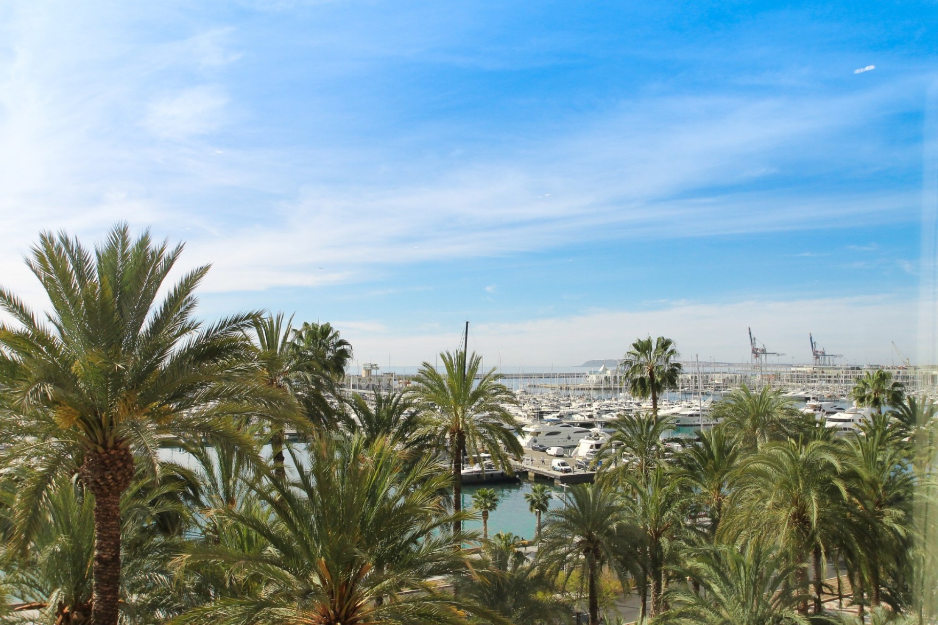 Resale - Apartment - Alicante - - Centro  -