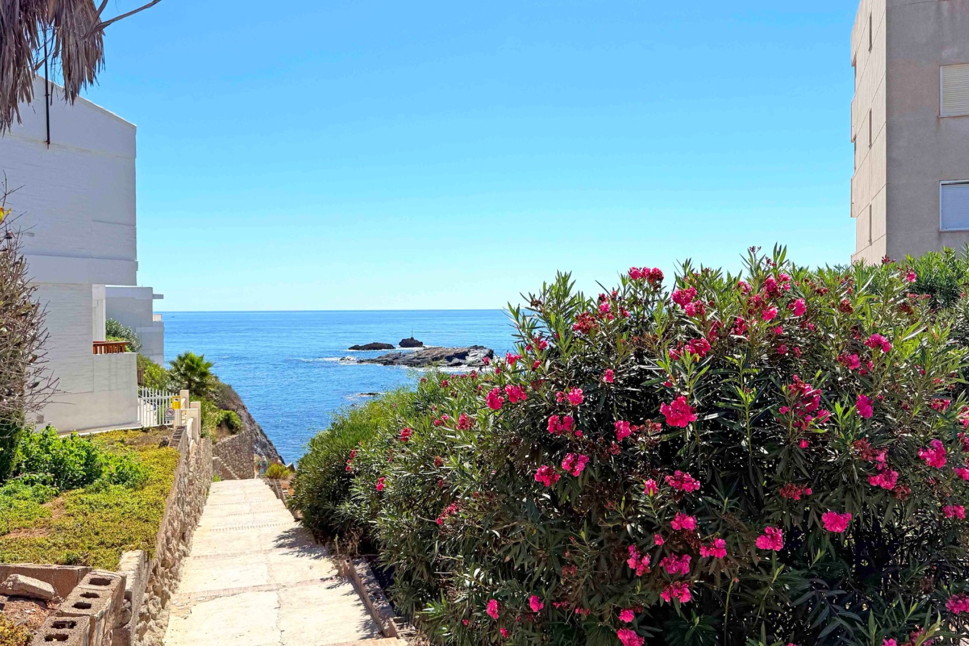 Resale - Apartment - Cabo de Palos