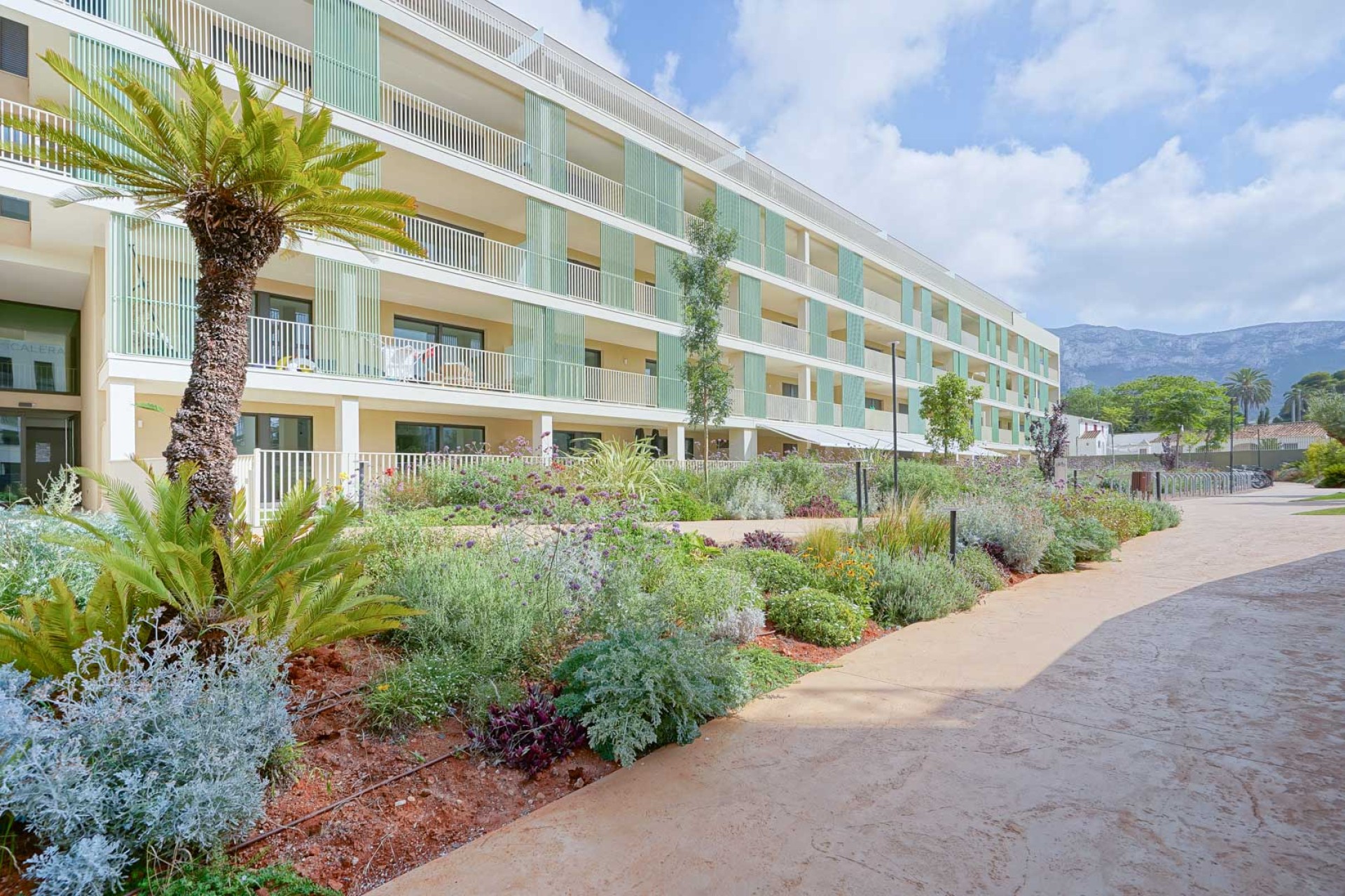 Resale - Apartment - Denia - Port