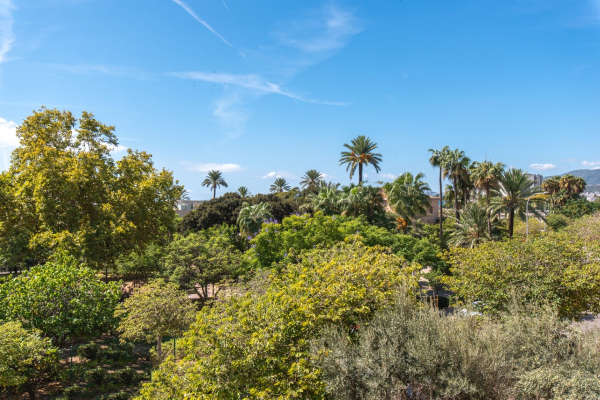 Resale - Apartment - Palma de Mallorca - Mallorca