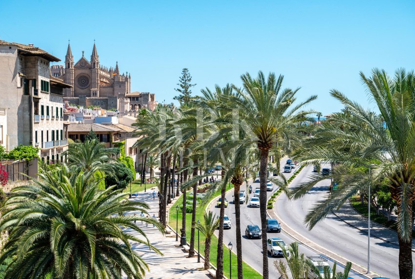 Resale - Apartment - Palma - Santa Catalina