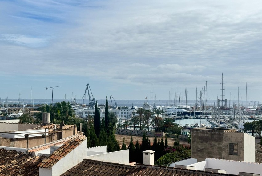 Resale - Apartment - PALMA