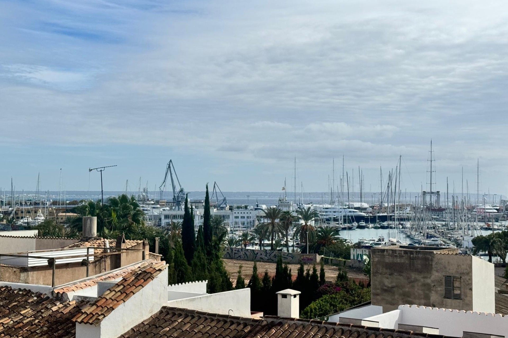 Resale - Apartment - PALMA