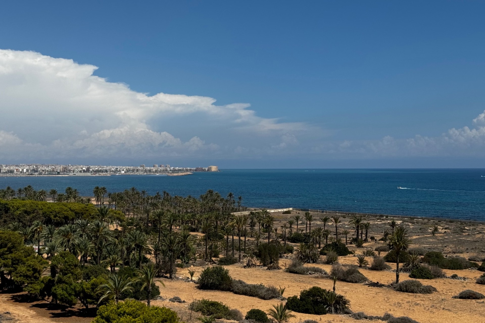 Resale - Apartment - Punta Prima