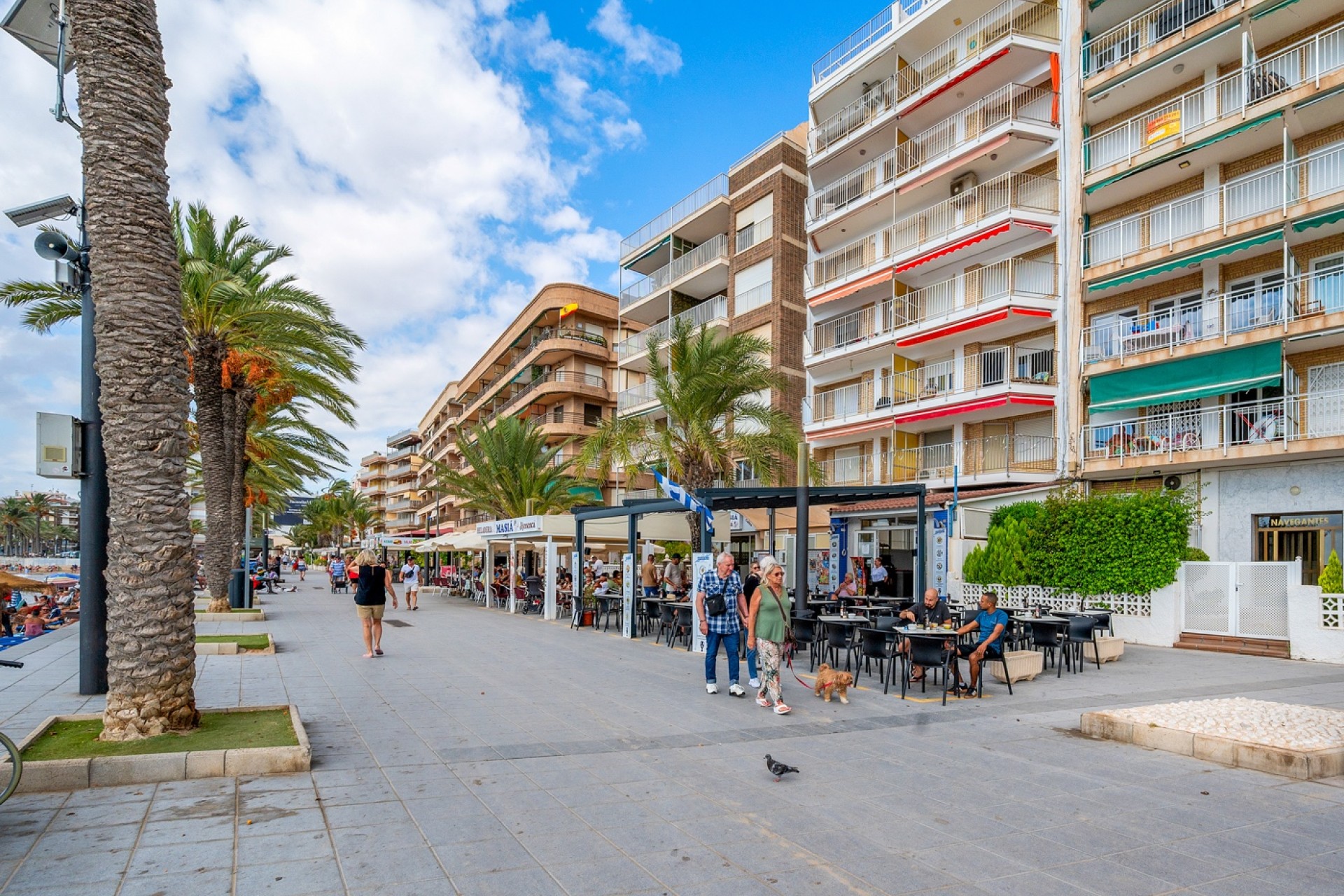 Resale - Apartment - Torrevieja