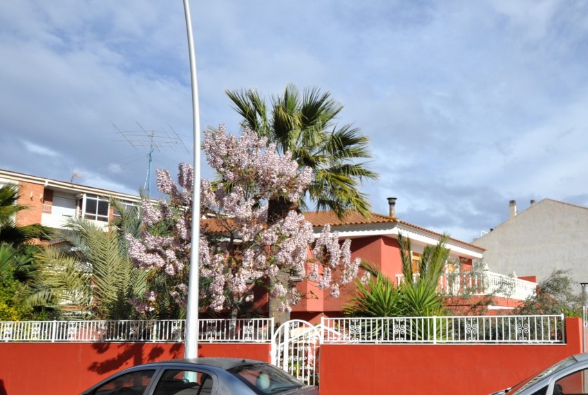 Resale - House - Sax