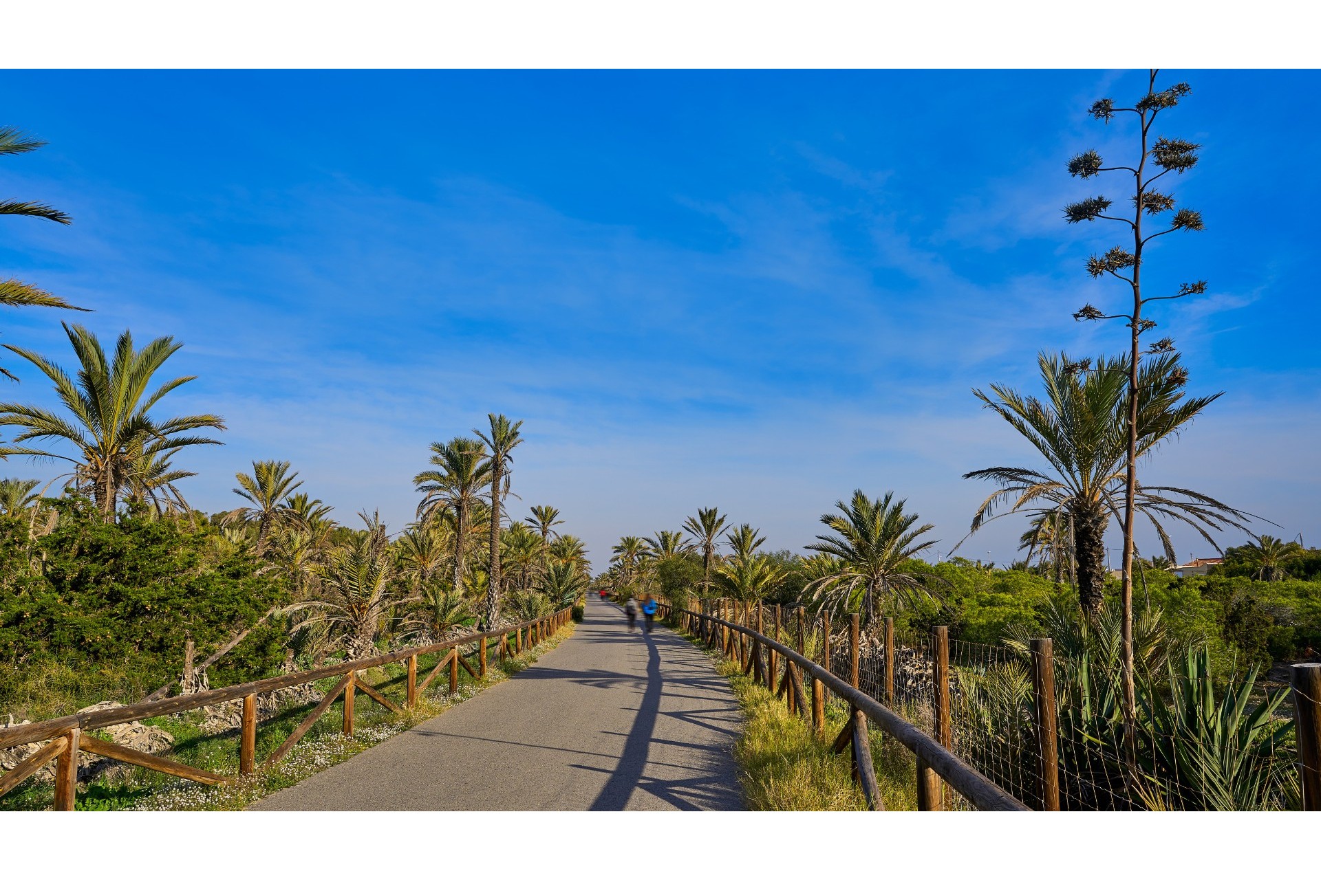 Resale - Land - Guardamar del Segura