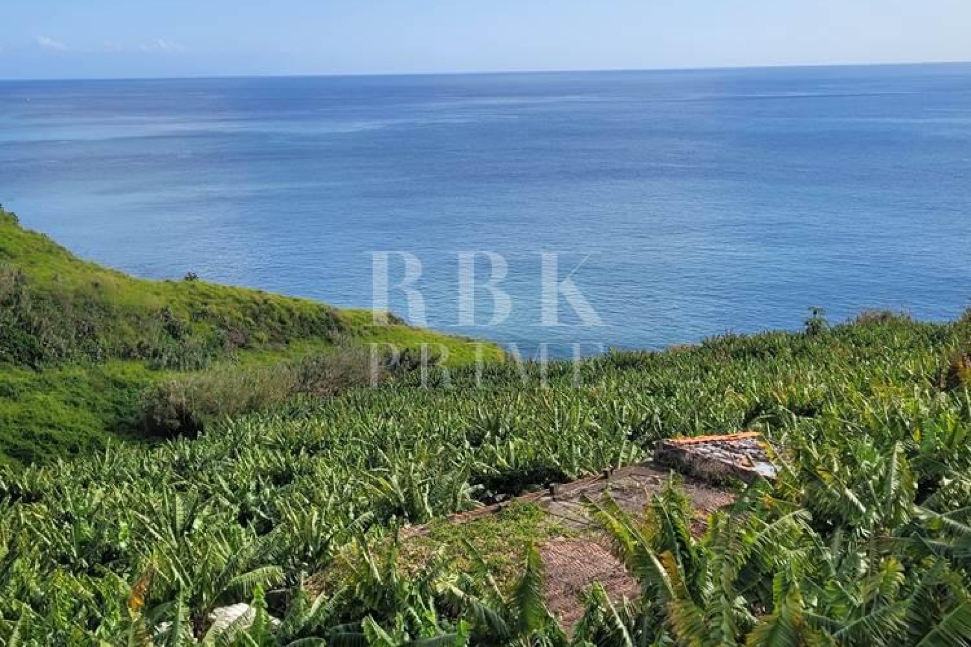 Resale - Land - Madeira