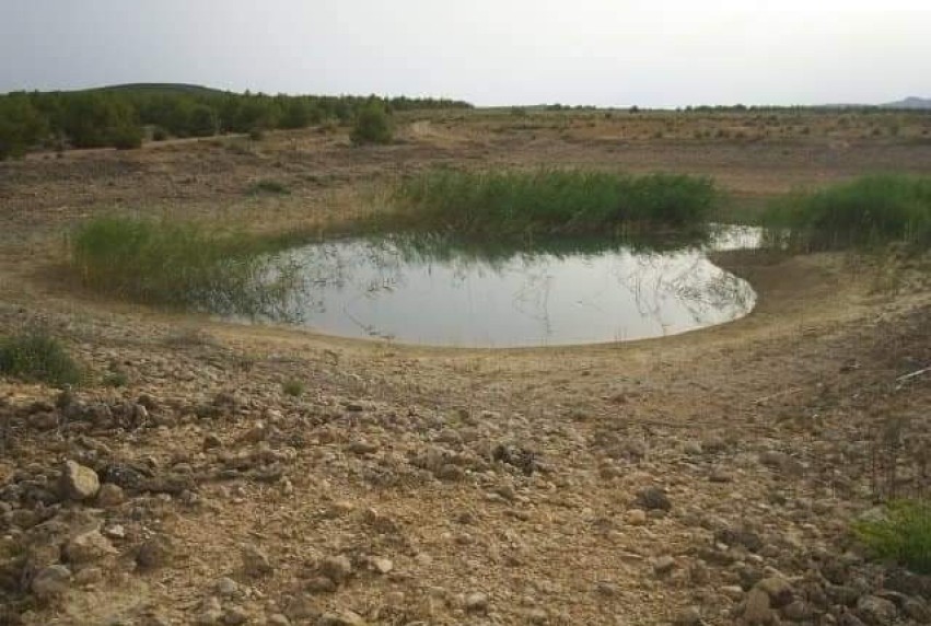 Resale - Land - Yecla