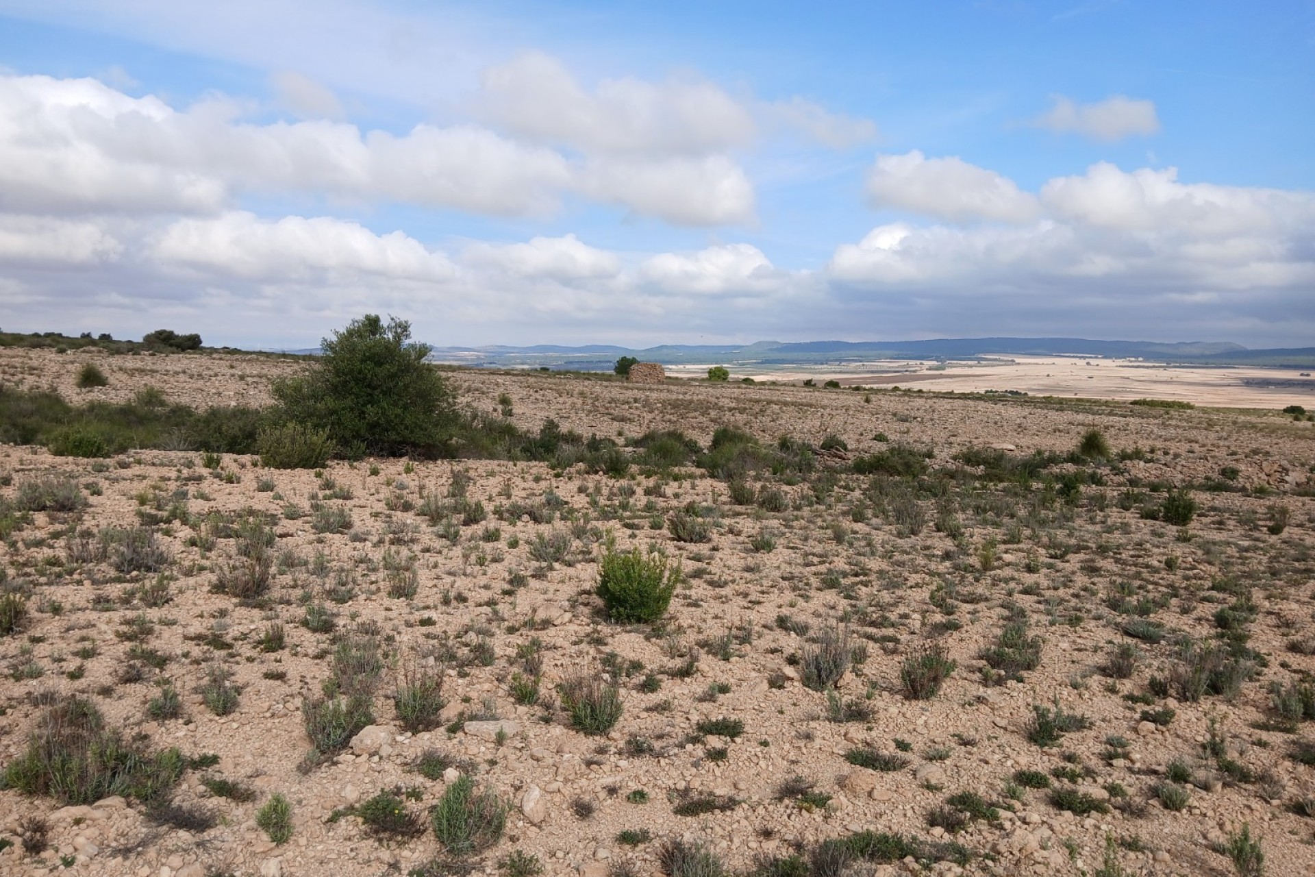 Resale - Land - Yecla