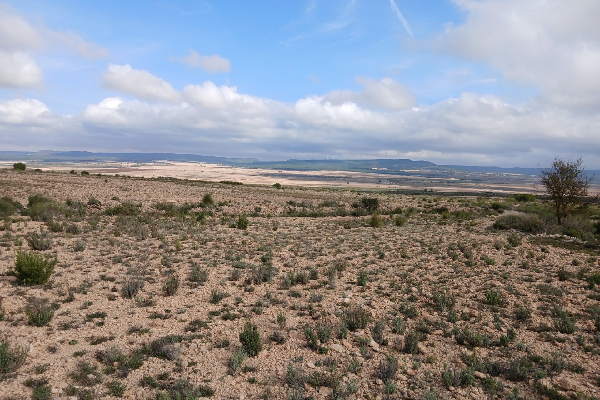 Resale - Land - Yecla