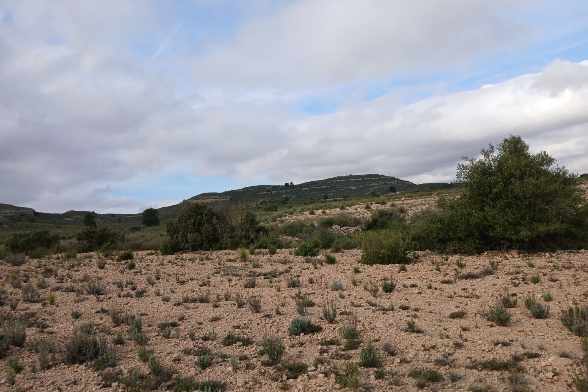 Resale - Land - Yecla