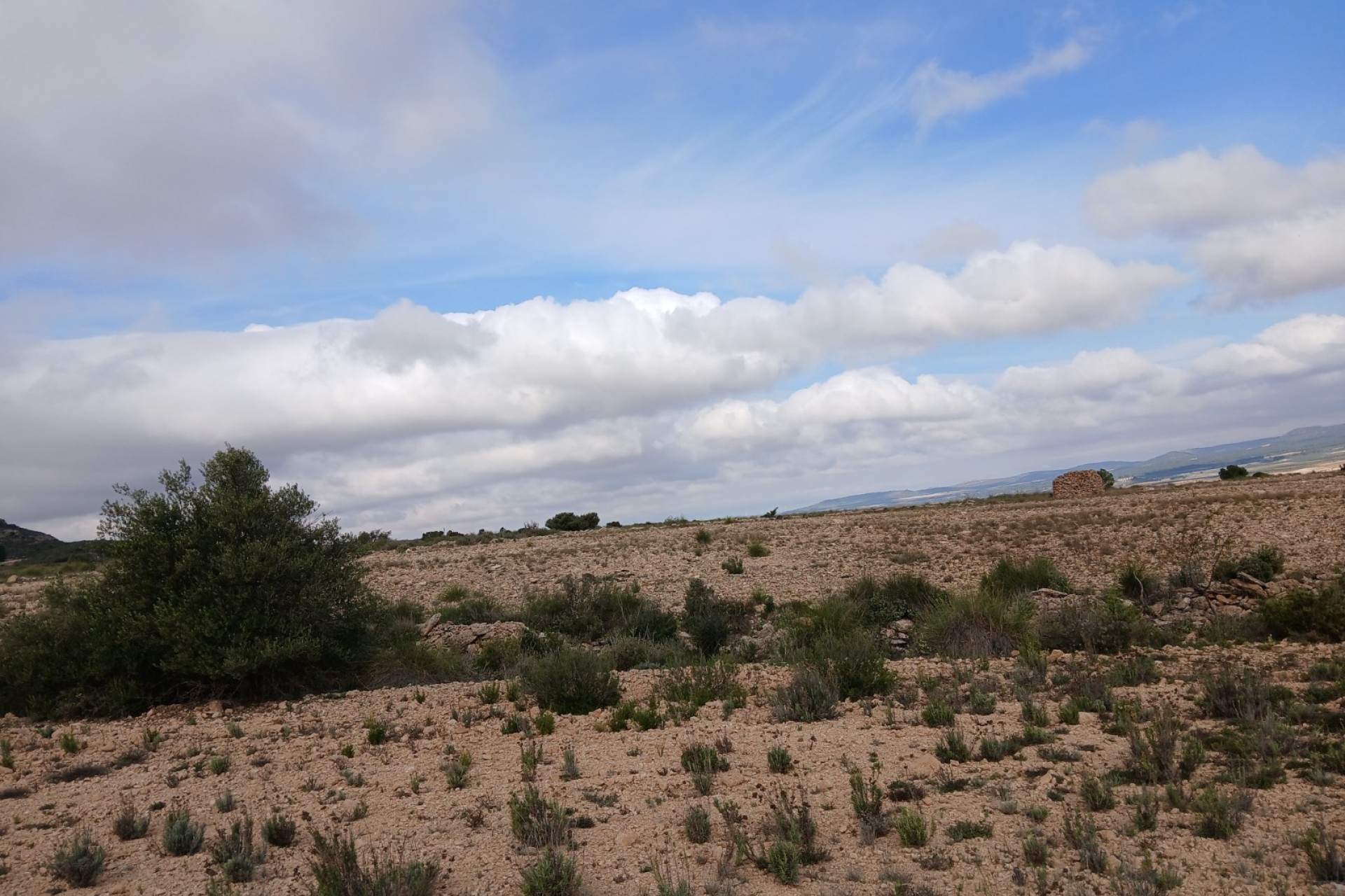 Resale - Land - Yecla