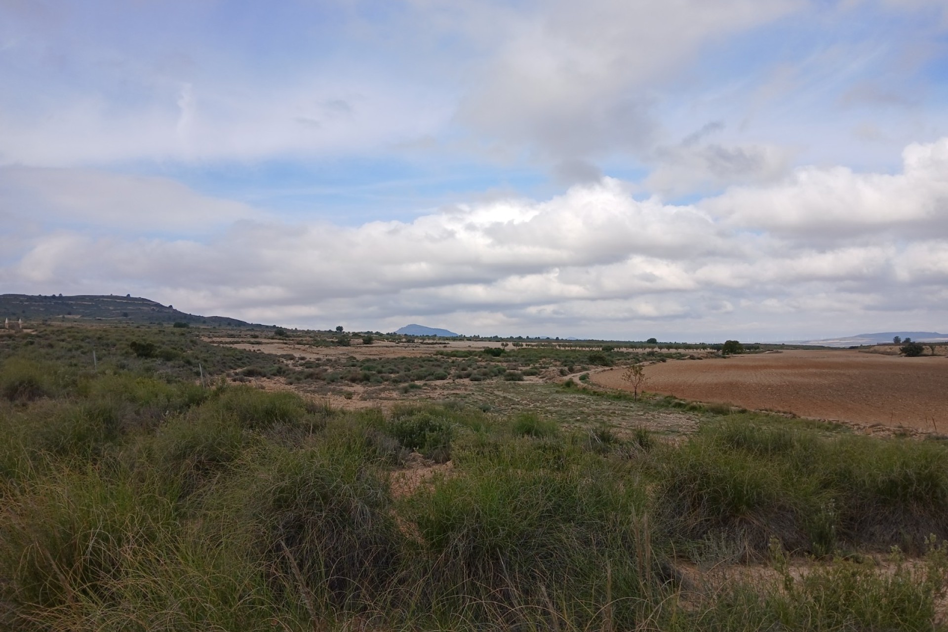 Resale - Land - Yecla