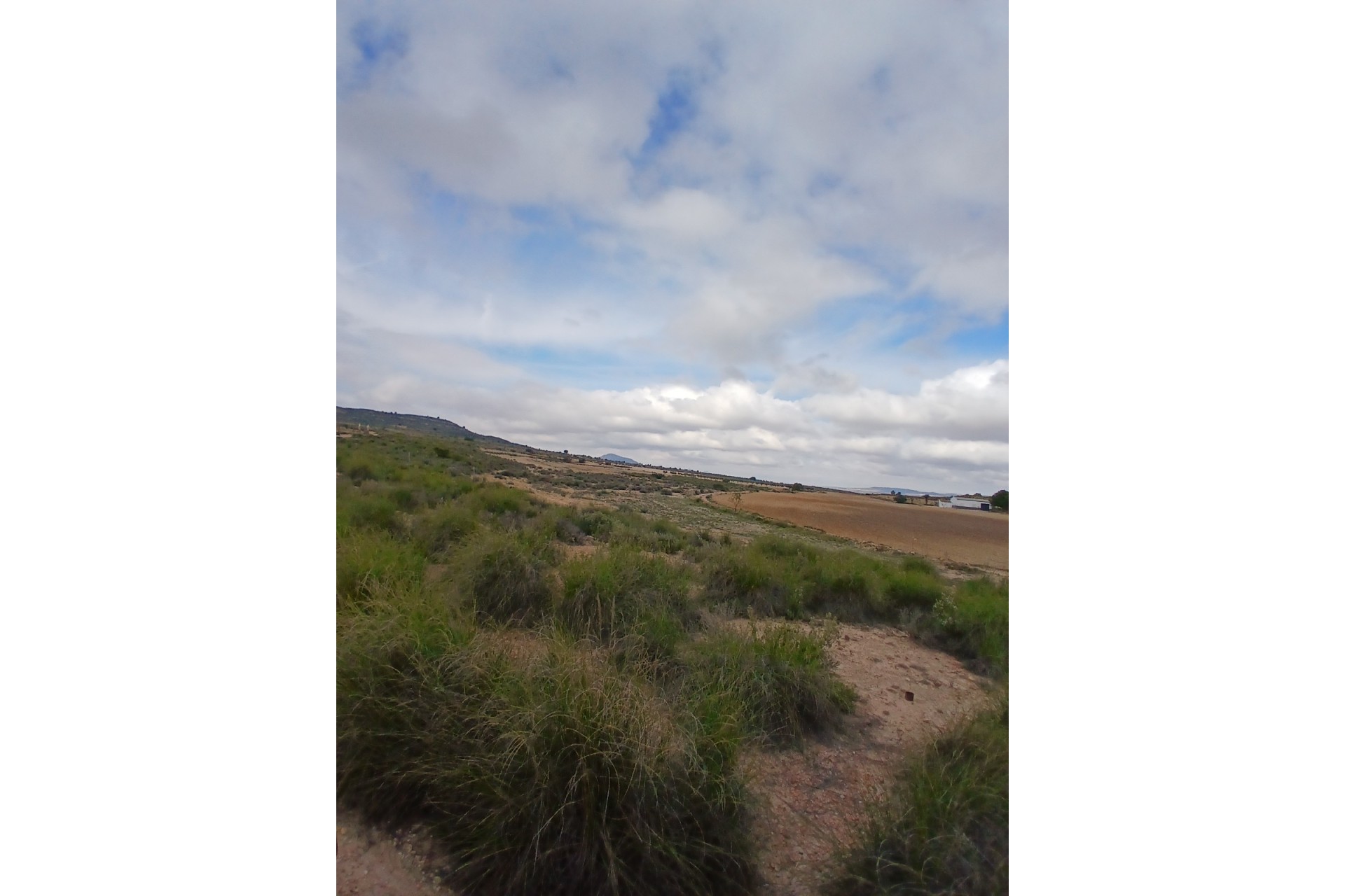 Resale - Land - Yecla