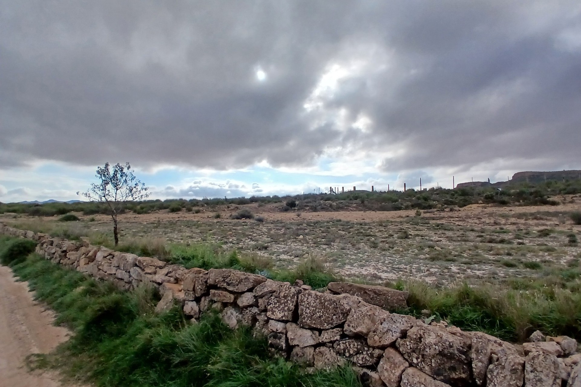 Resale - Land - Yecla