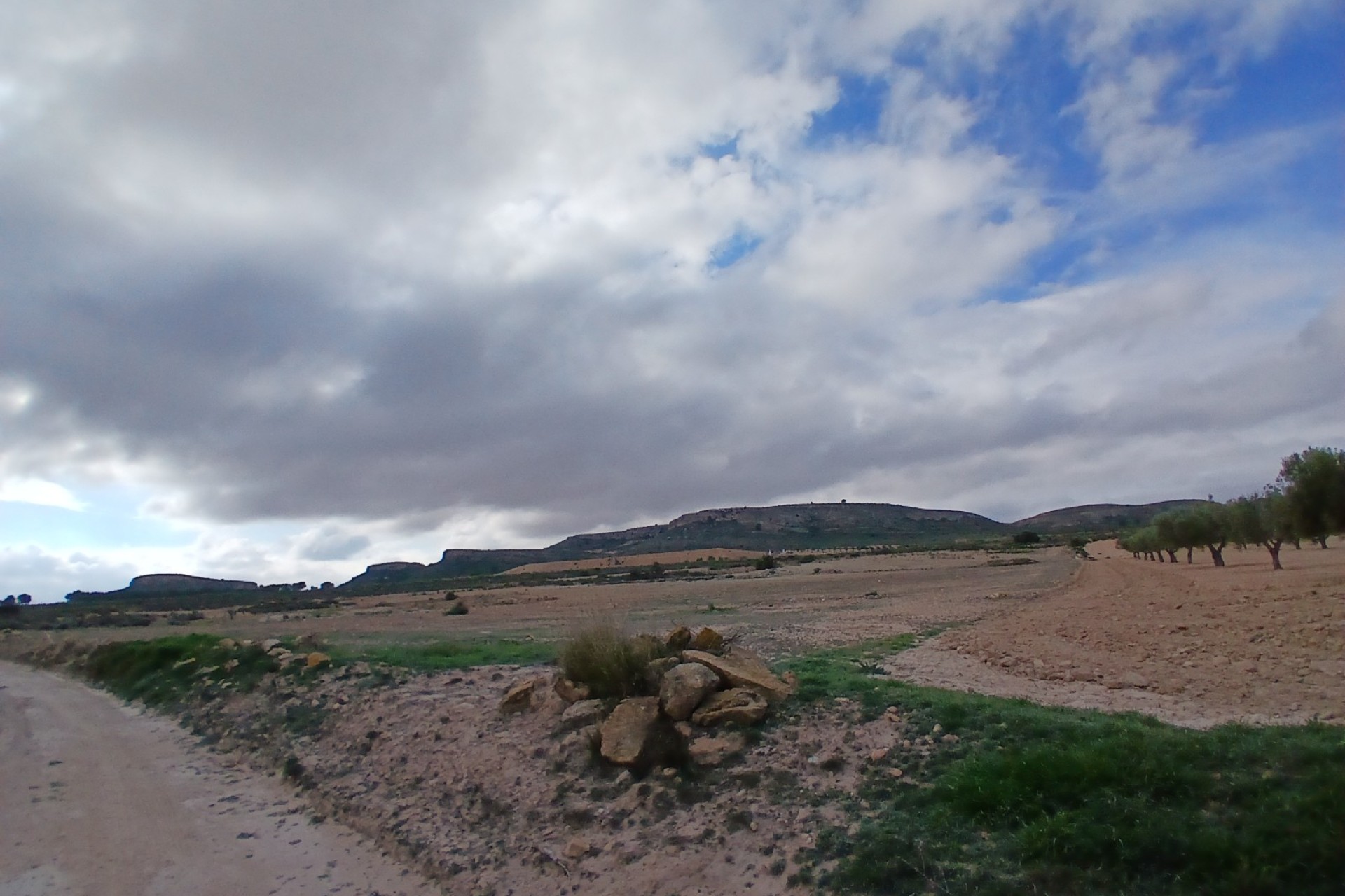 Resale - Land - Yecla