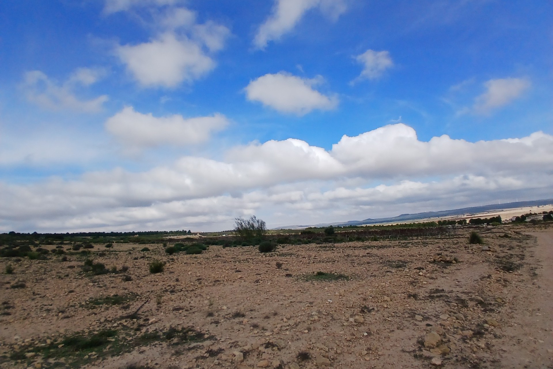 Resale - Land - Yecla