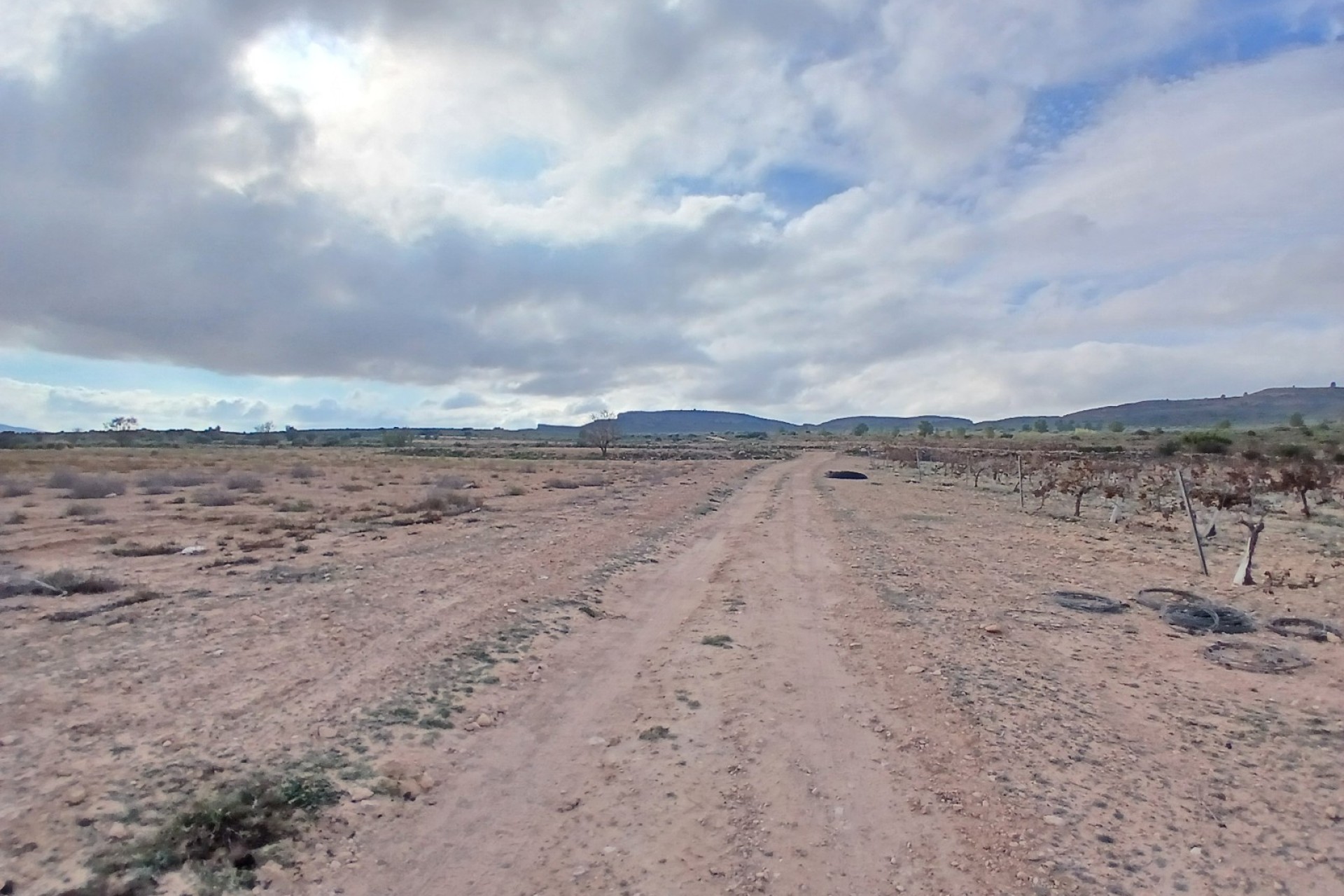 Resale - Land - Yecla