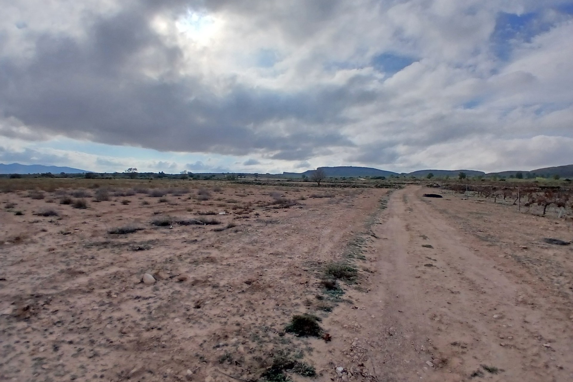 Resale - Land - Yecla