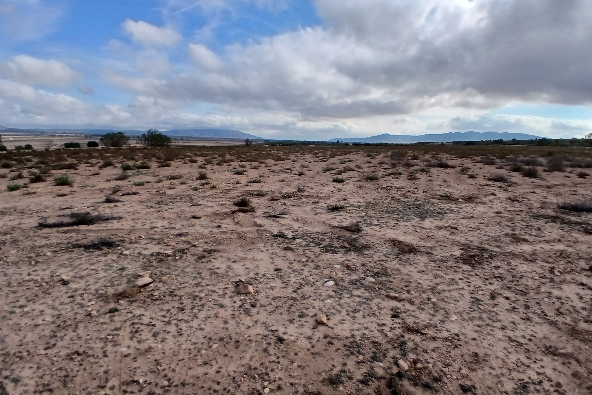 Resale - Land - Yecla