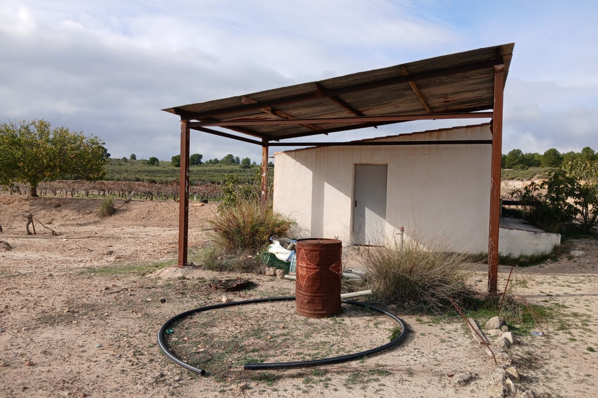 Resale - Land - Yecla