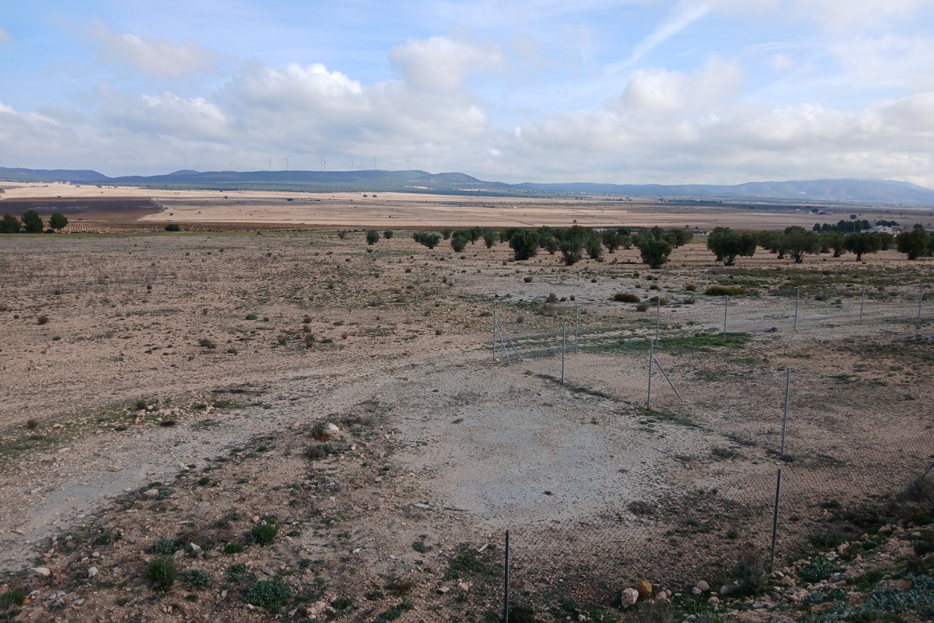 Resale - Land - Yecla