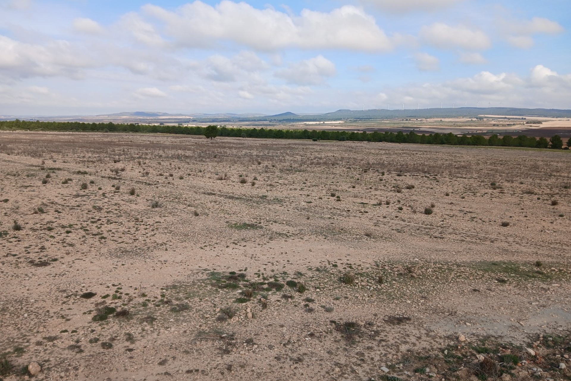 Resale - Land - Yecla