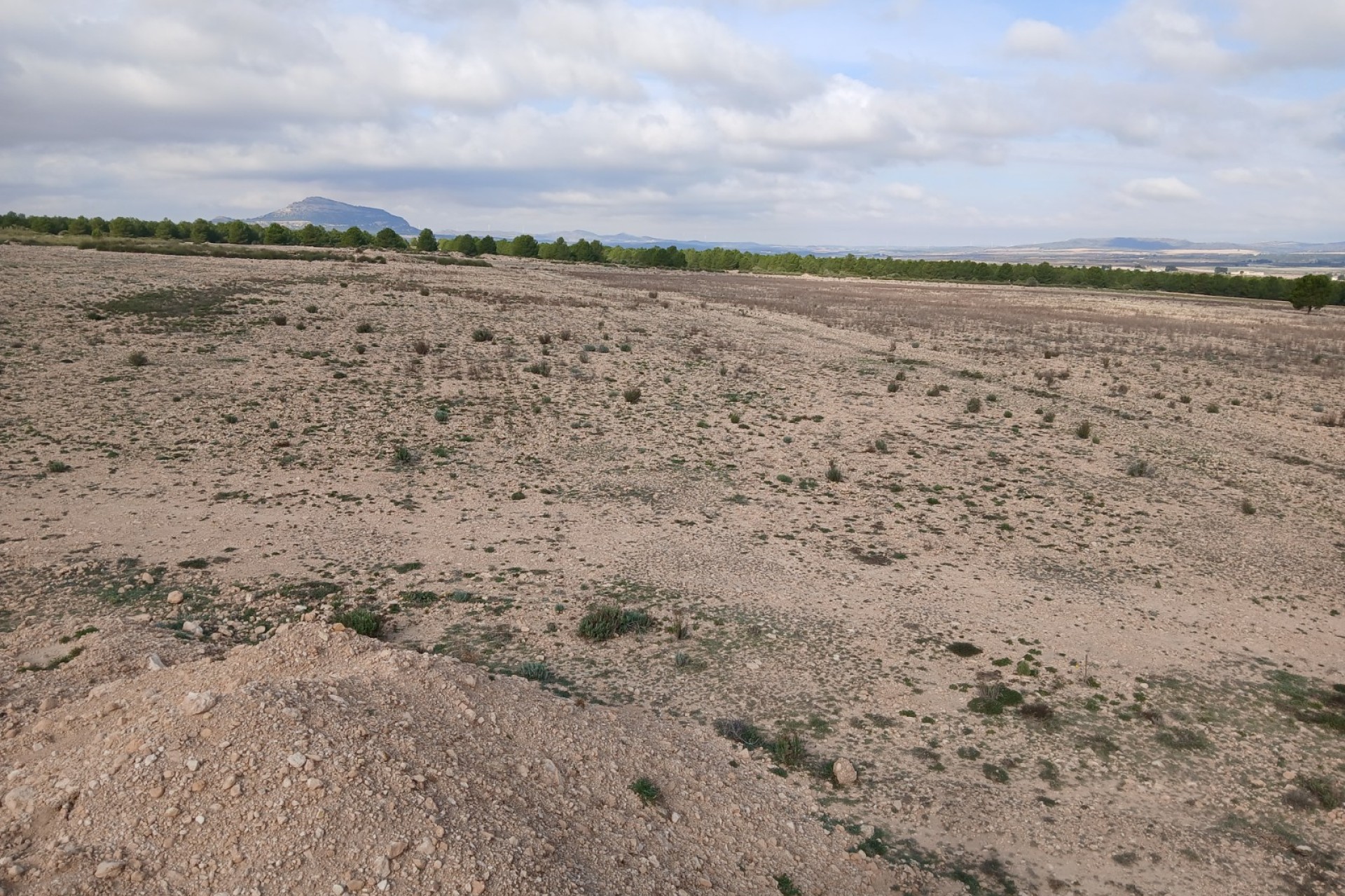 Resale - Land - Yecla