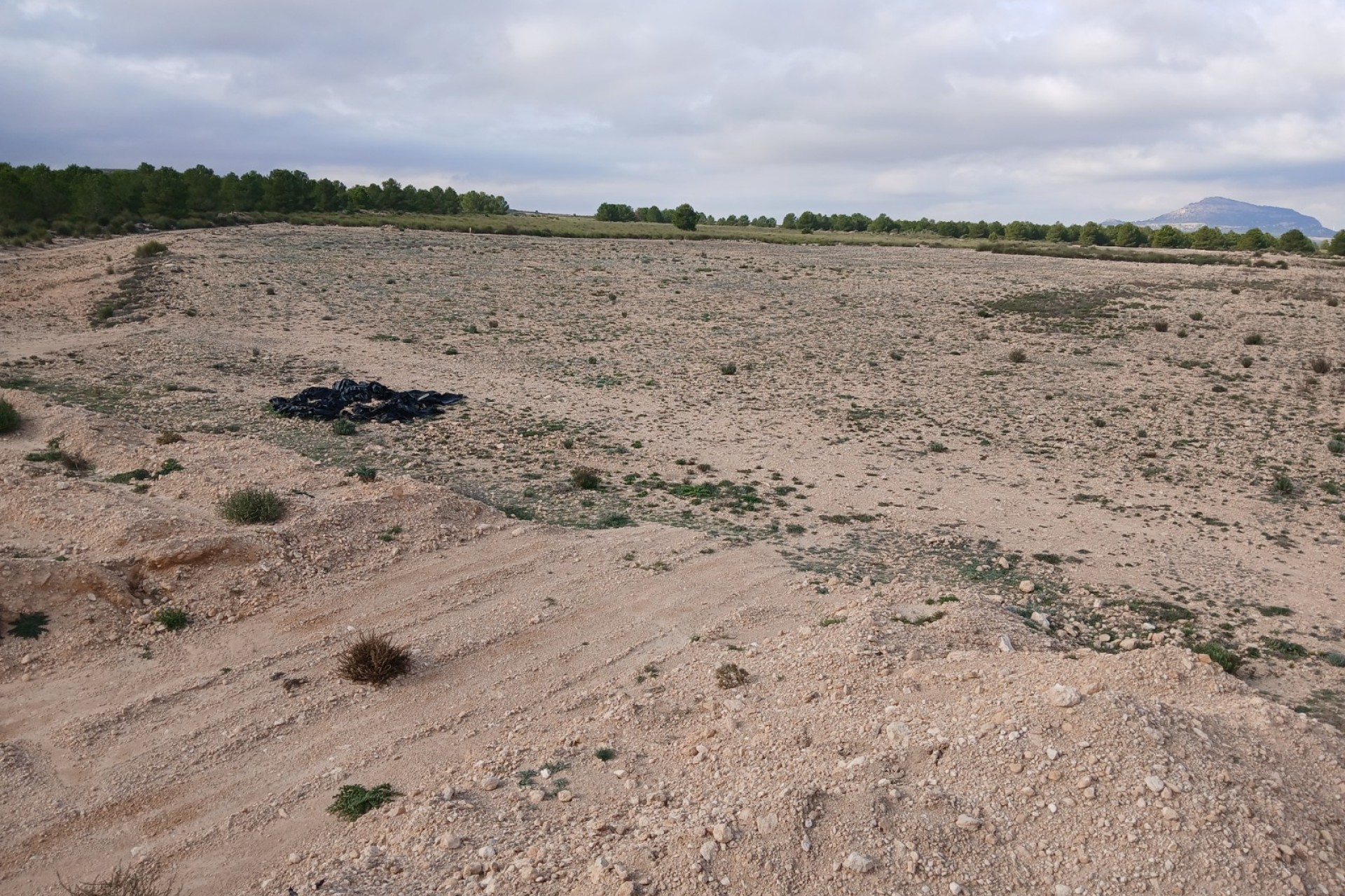 Resale - Land - Yecla