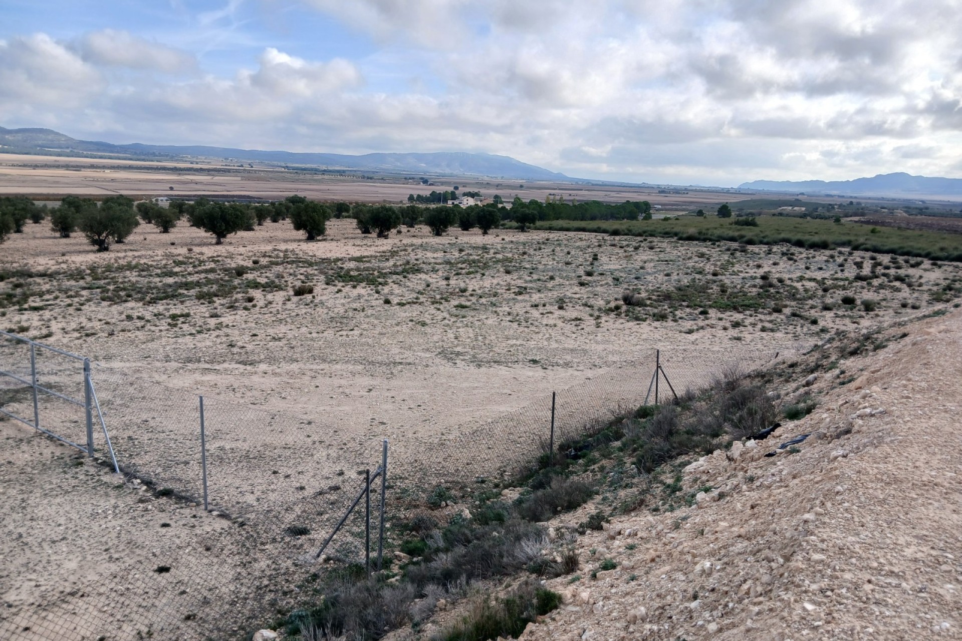 Resale - Land - Yecla