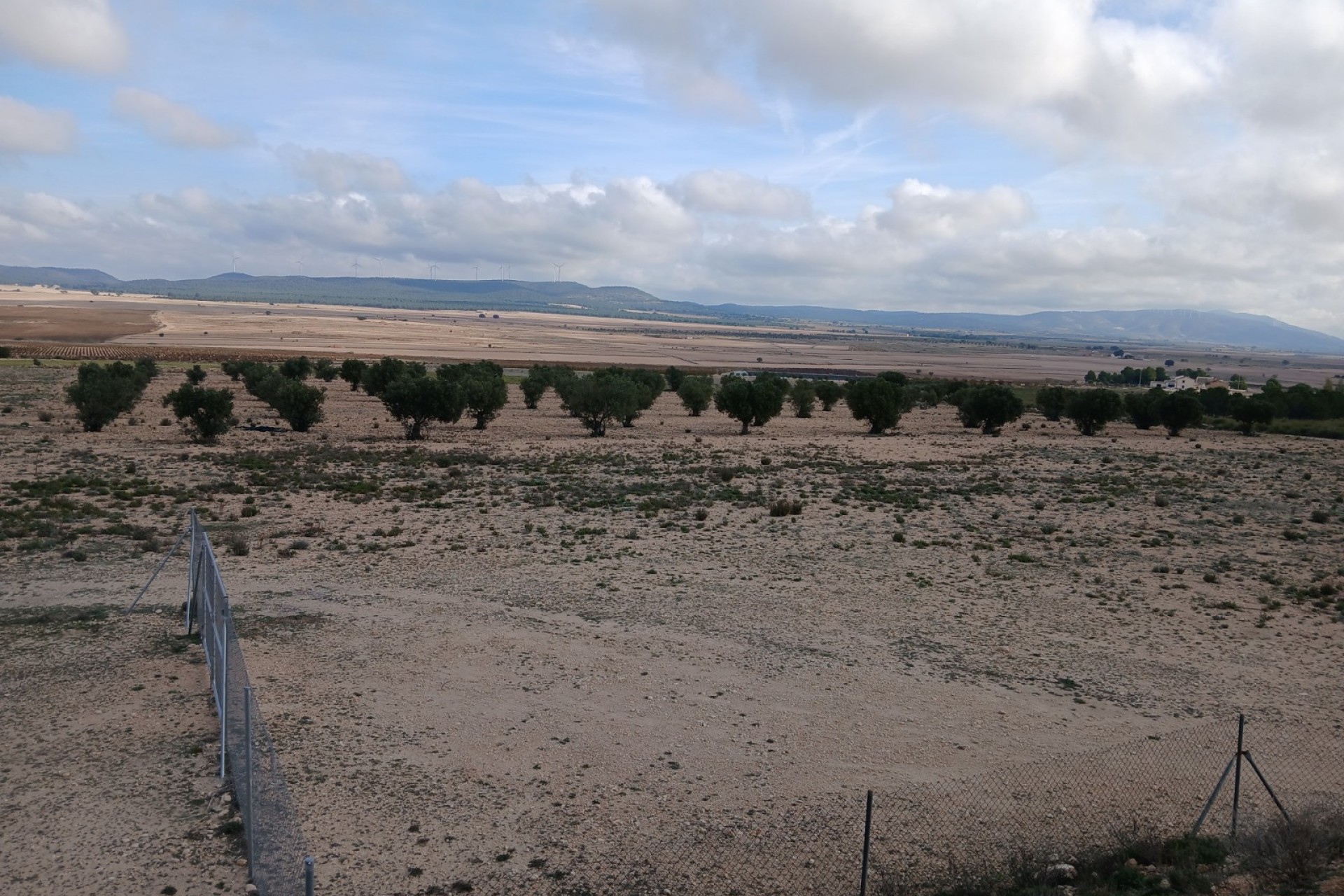 Resale - Land - Yecla