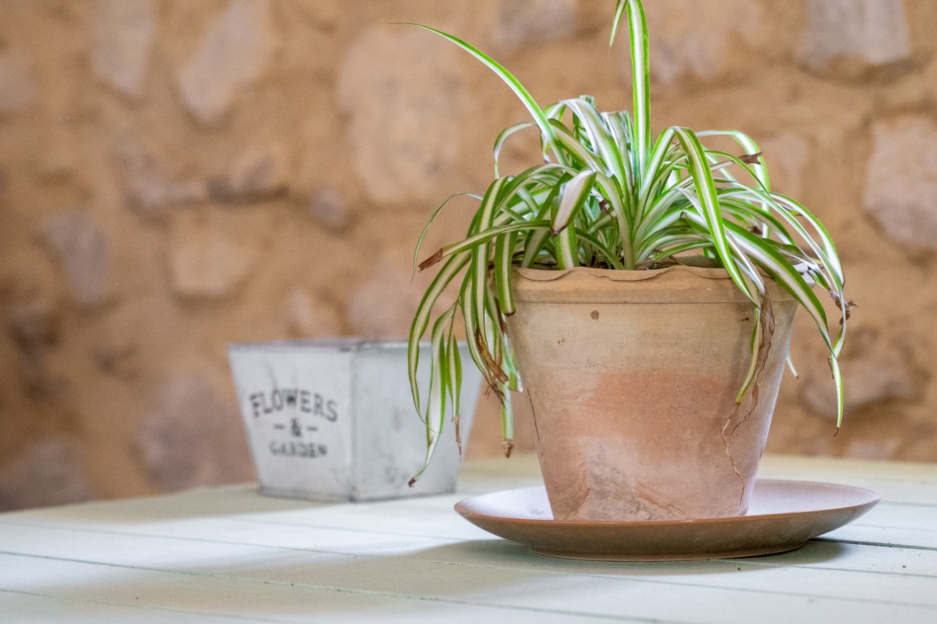 Resale - Others - Castalla