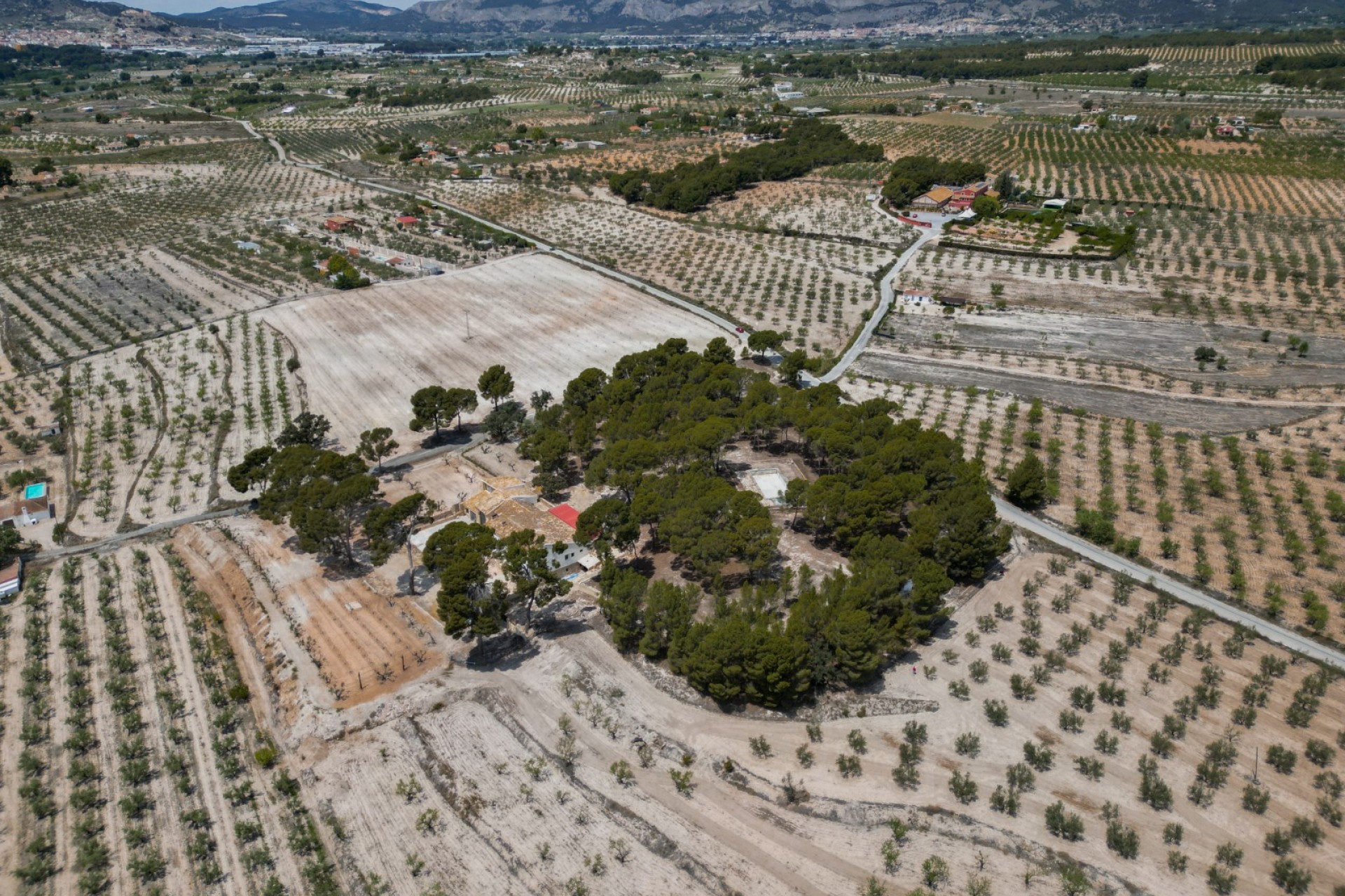 Resale - Others - Castalla