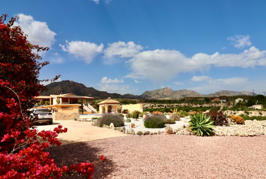 Resale - Villa - Albatera