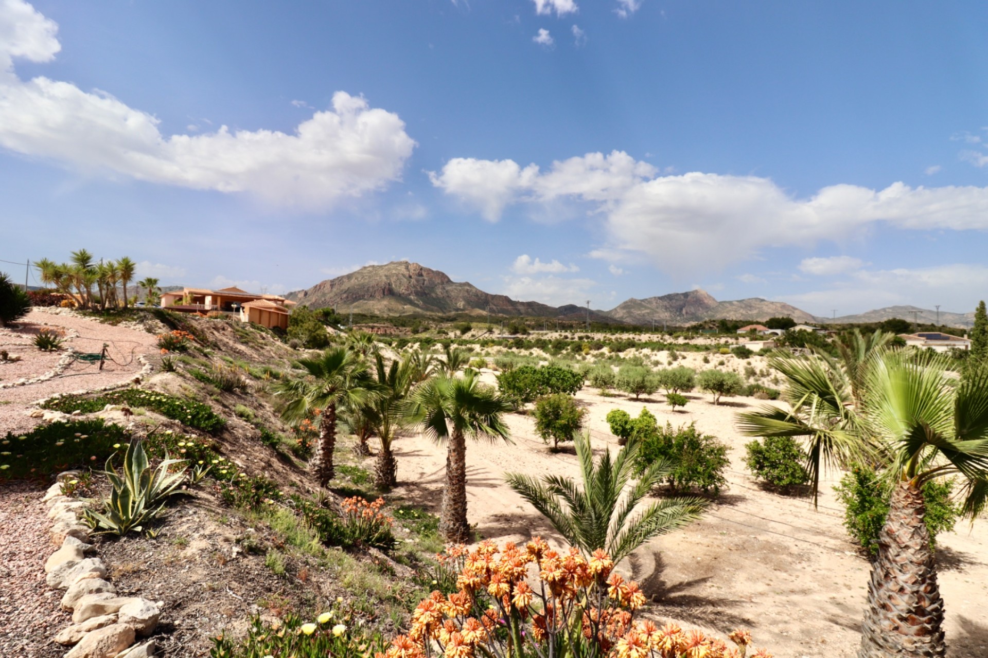 Resale - Villa - Albatera