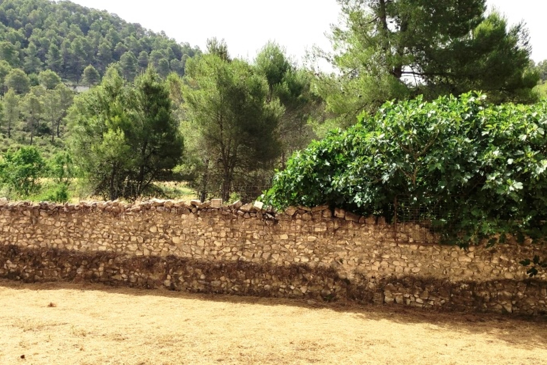 Resale - Villa - Alcoy