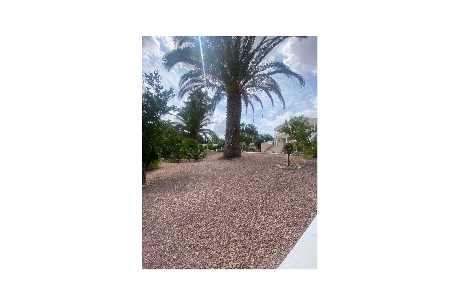 Resale - Villa - Algorfa - Inland