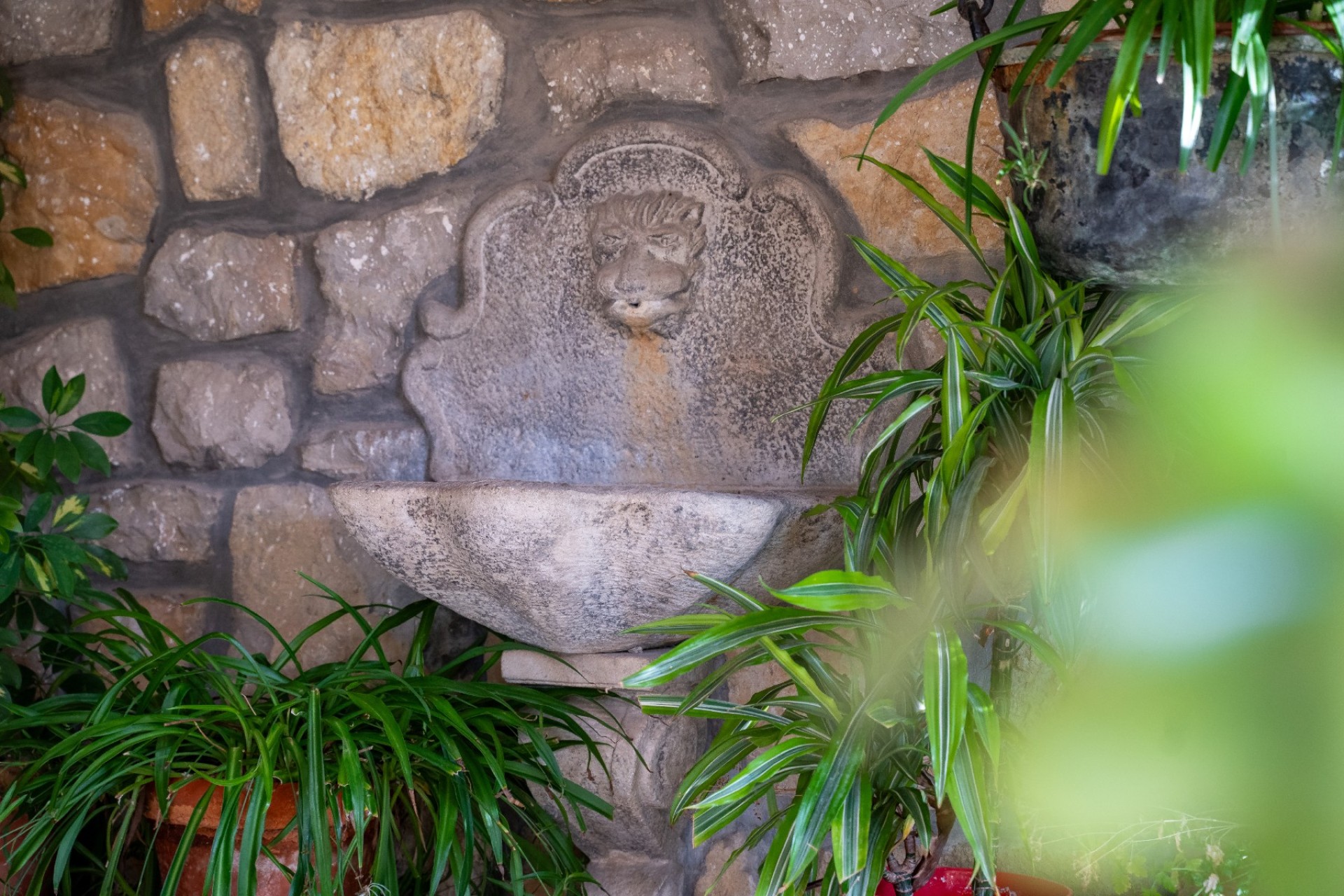 Resale - Villa - Alicante - Albufereta