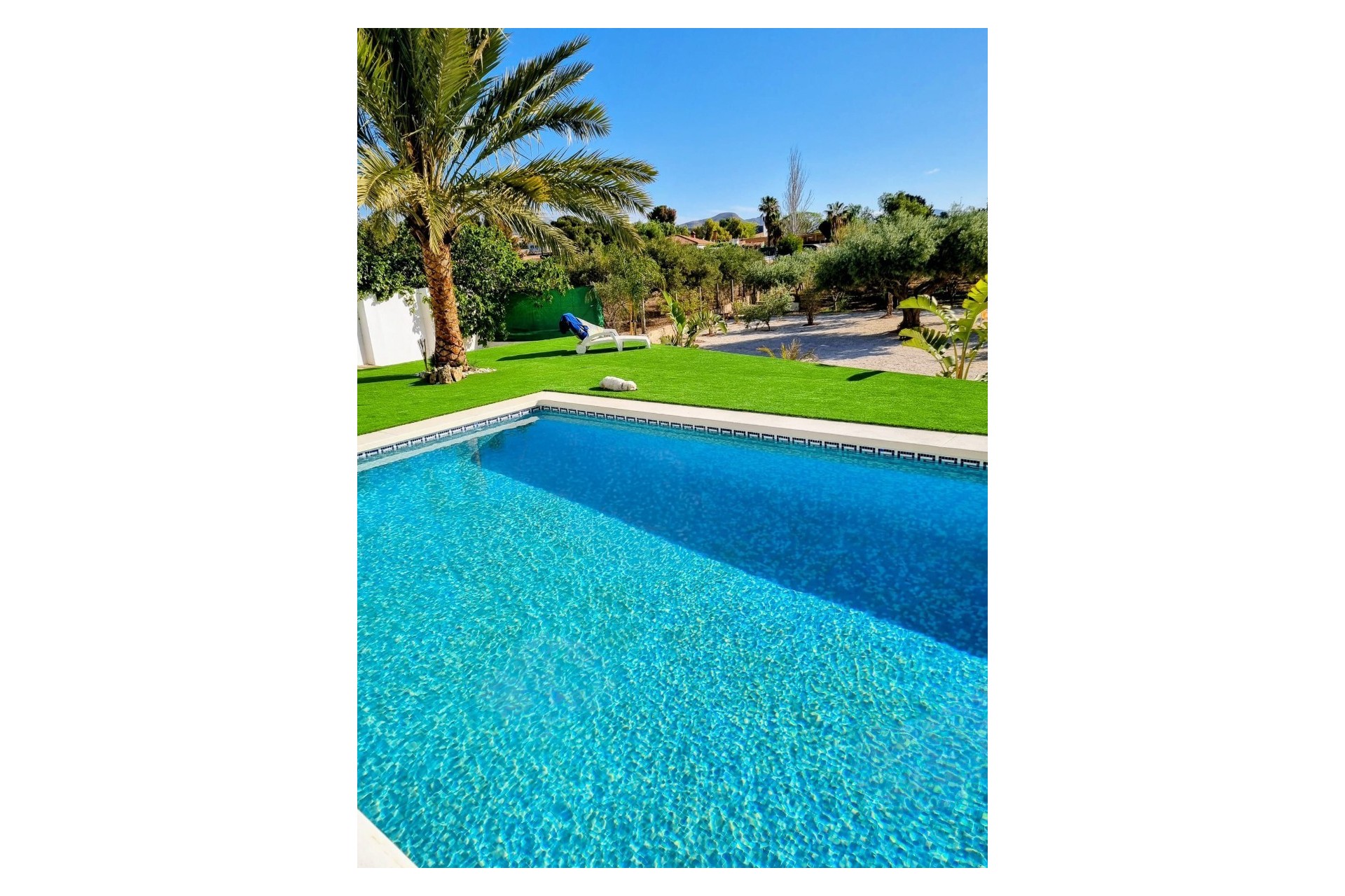 Resale - Villa - Alicante - Moralet - Cañada del Fenollar