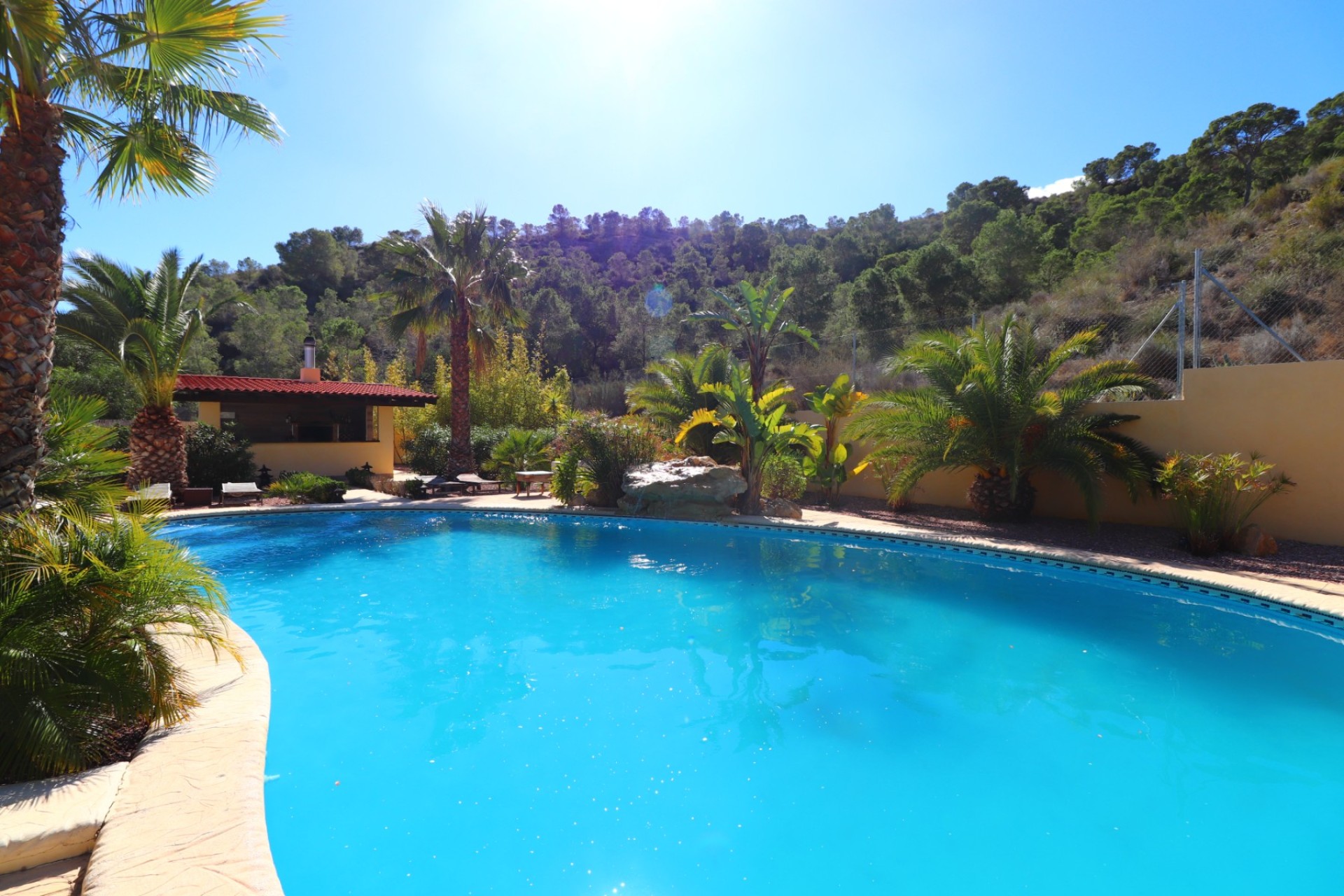 Resale - Villa - Aspe - Aspe - Country